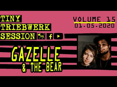 TINY TRIEBWERK SESSION VOL. 15 – Gazelle & The Bear