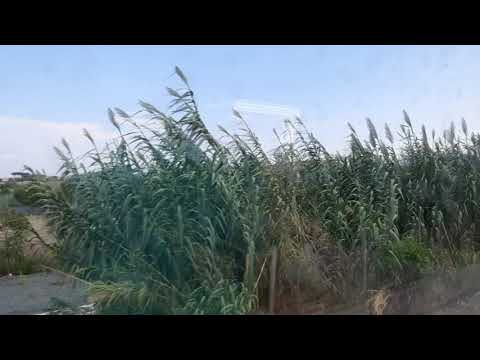 Treno IC Trieste Centrale-Roma Termini via Foligno (arrivo a Termini)