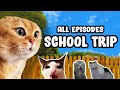 SCHOOL TRIP CAT MEME COMPILATION