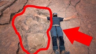 World's Largest Dinosaur Footprints