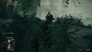 ELDEN RING　ガチ初見　ELDEN RINGの世界観で進撃の巨人のシニゲー作ったら最高じゃね？