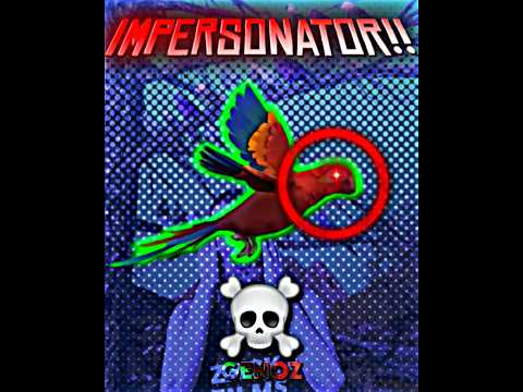 Racist Parrots  💀