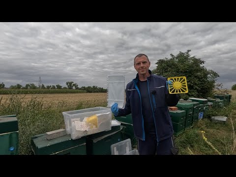 Keine Lust auf Schwammtuch? Nimm Liebig oder Nassenheider!