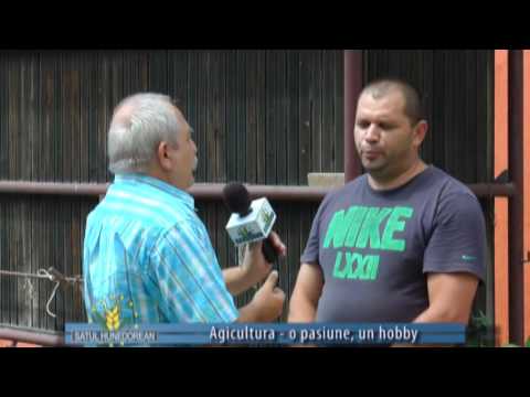 satul hunedorean 10 iulie 2016