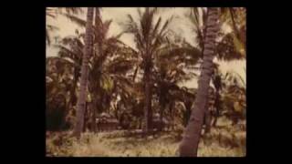 MF DOOM - BERGAMOT WILD