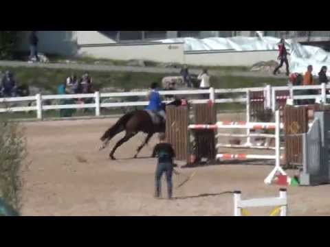 Sportpferde ASG - Horse Gym's Coolmann M*-Springen Kreuth 9-2013