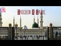 Eid Milad Un Nabi Special Whatsapp Status Huzur Aa Gaye Hai Status