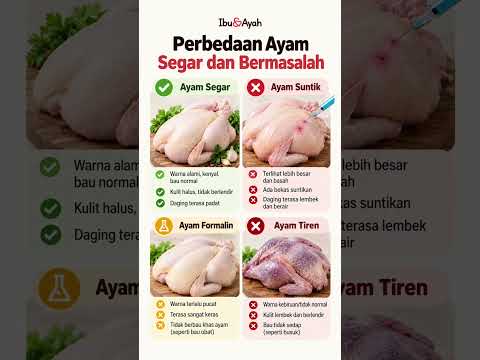 Jangan Tertipu Tampilan, Kenali Tanda Ayam Segar dan Tidak Layak Beli #ibudanayah