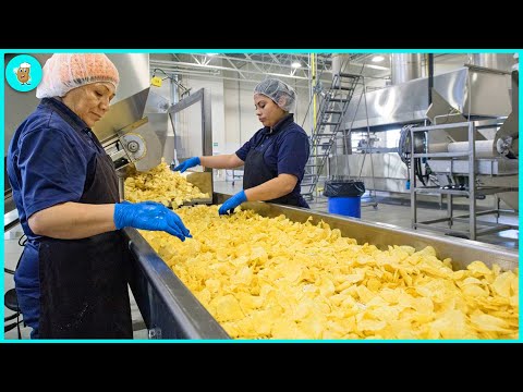 , title : 'Amazing How Tons Of Fresh French Fries Are Made In The Factory | Agriculture Technology'