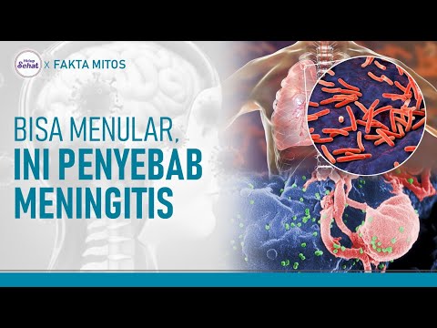 Penyebab Meningitis, Penyakit yang Diderita Olga Syahputra | Hidup Sehat tvOne