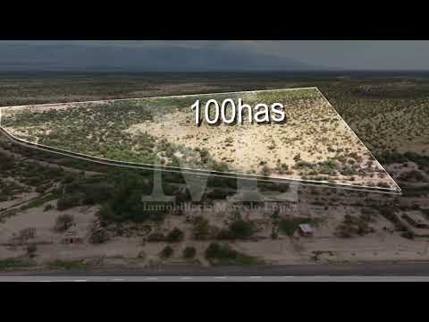 Venta Campo 100 Has en Caucete (San Juan) sobre Ruta – Ideal Proyecto de Energía Solar