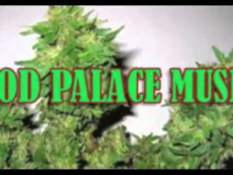 Sizzla World Leaders in problem.mp4