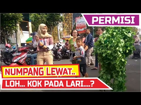 bushman-prank-make-people-laugh-prank-manusia-pohon