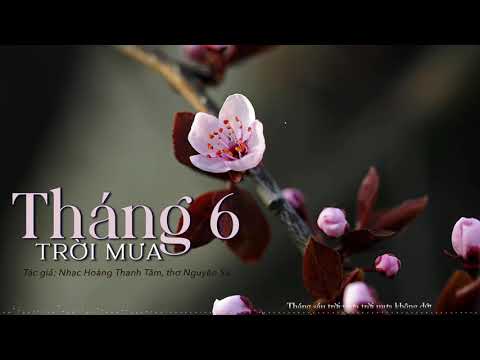 Tháng sáu trời mưa Sheet - Vũ Khanh