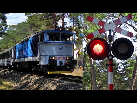 SSP przy parkingu Best Western Hotel Jurata | Polish railroad crossing