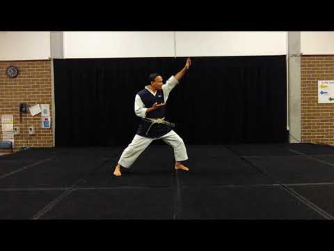 Gekisai Nidan by Kenshu Hideo Watanabe, 9th dan, at the age of 73. This video was taken on 17-7-2019