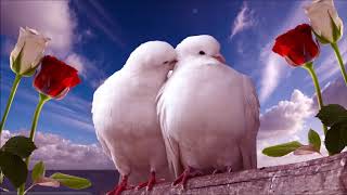 Aap K Aah Jane Se -  Mohd Aziz &amp; Sadhana Sargam (Remastered)