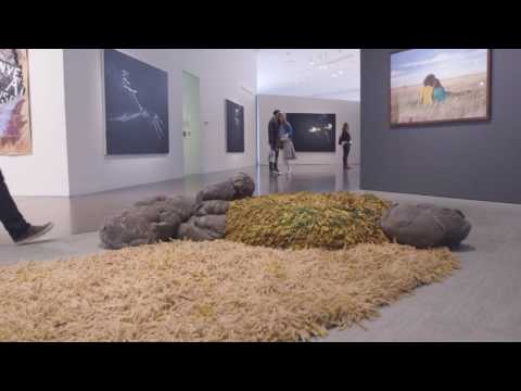 Take a Virtual Tour of "Mi Tierra: Contemporary Artists Explore Place"