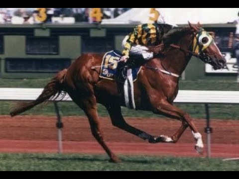 2006 TVN _ Let's Elope Feature