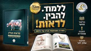 מראות חולין 🐄 | לראות את מסכת חולין בעיניים! לרכישה באתר ◀◀◀ https://bit.ly/Marot_Chulin