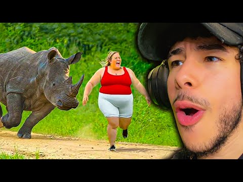 Disturbing Ways Animals Hunt Humans