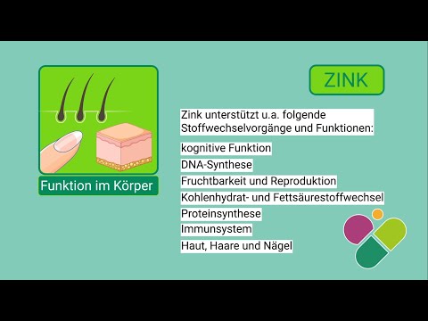 Zink – Mineralstoff mit wichtigen Funktionen im Stoffwechsel | Wofür, wieviel und woher?
