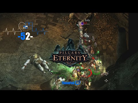Pillars of Eternity - The White March -- Part 52