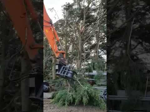 TriGrip Tree Shears - Image 2