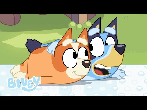 Flatpack World! | Season 2 | Bluey