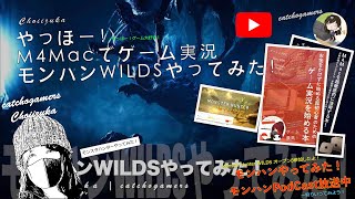 やっほー！M4Macでゲーム実況！モンハンワイルズやってみた！ Part33 禁足地でアンジャナフ亜種が暴れてた！！