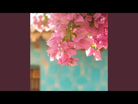 Maju terus pantang mundur