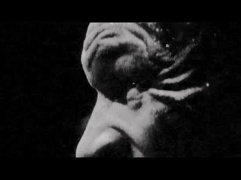 I'm still the best ever. #PaulTyson