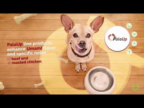PalaUp: Bringing pet's tastes closer to their parents'