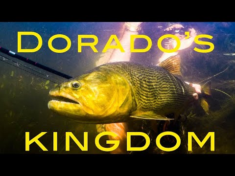 Underwater view at Iberá Marshalnds - Pirá Lodge