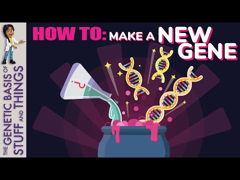 Gene duplication: The formation of new genes… genes… genes