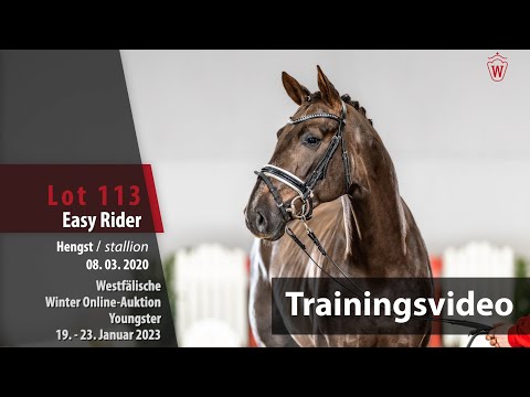 Winter Online-Auktion Training Lot 113 Easy Rider Hengst v. Ehrenstolz - Fürst Piccolo