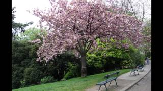 Anna Marie - Jim Reeves Cover by Joe