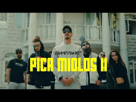 SäoOneArt - Pica Miolos II (Prod. Facto BSJ)
