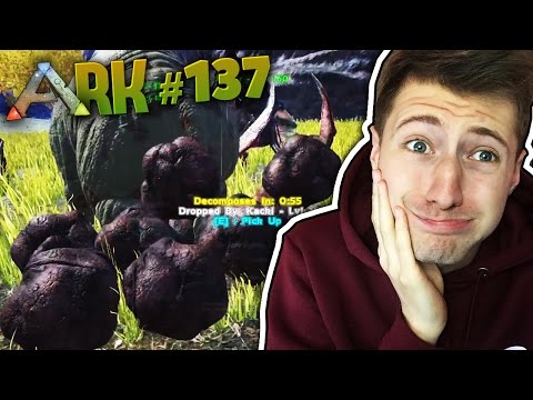 EVERYTHING SUCKS!!! | ARK #137 | Dizzi