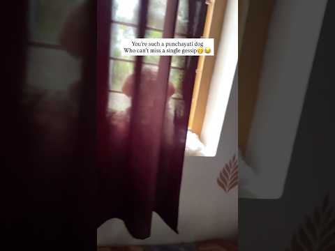 Gossip thanne gossip🤭😂🧿#anaghaputhoor #subscribe