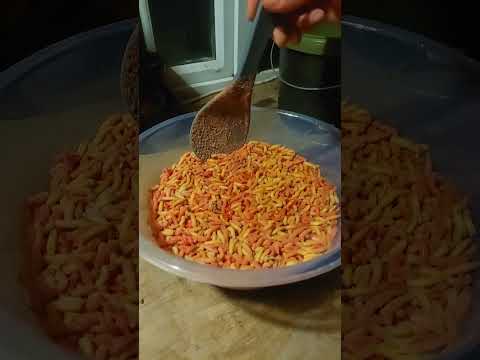 Nash Bait Instant Action Squid And Krill Flavoured Maggots!