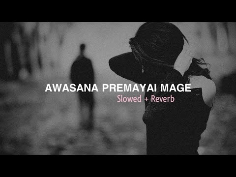 Awasana Premayai Mage (Slowed + Reverb)