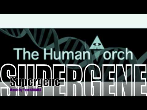 Supergene -The Humantorch-