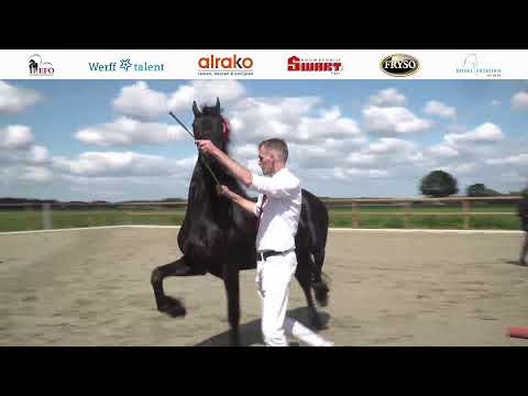 Locatie keuring Trainingshal Spliethof | 28 mei 2022