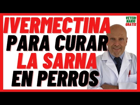 ❤️ IVERMECTIN for MANGE in DOGS ❤️ Ivomec 1% (uses, dosage, indications, side effects)