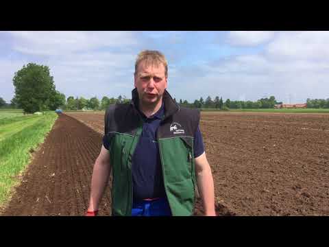 Aussaat einer Kreuzung von Zuckerhirse und Sudangras als Alternativsubstrat zum Mais