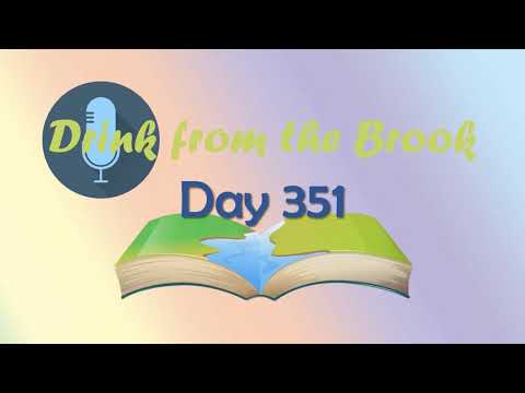 【Drink from the Brook】：Day 351