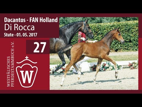 27 Di Rocca Stute  v. Dacantos  - FAN Holland