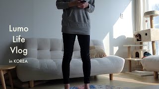 [韓国生活vlog] 日本人主婦の食べて歩いて食べて踊る日常 / 月に一度のチキンとデジクッパを食べる / 猫との海外暮らし