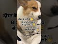 Follow Kar Lo Bhai Trending Funny Shorts Youtubeshorts Like Shortvideo Viralvideo